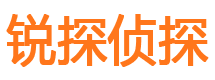 于田市私家侦探